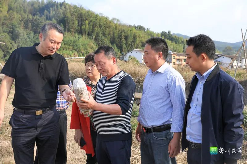 县领导陈华兴陪同调研.文/图:吴昊 葛运琪监制:尧志强