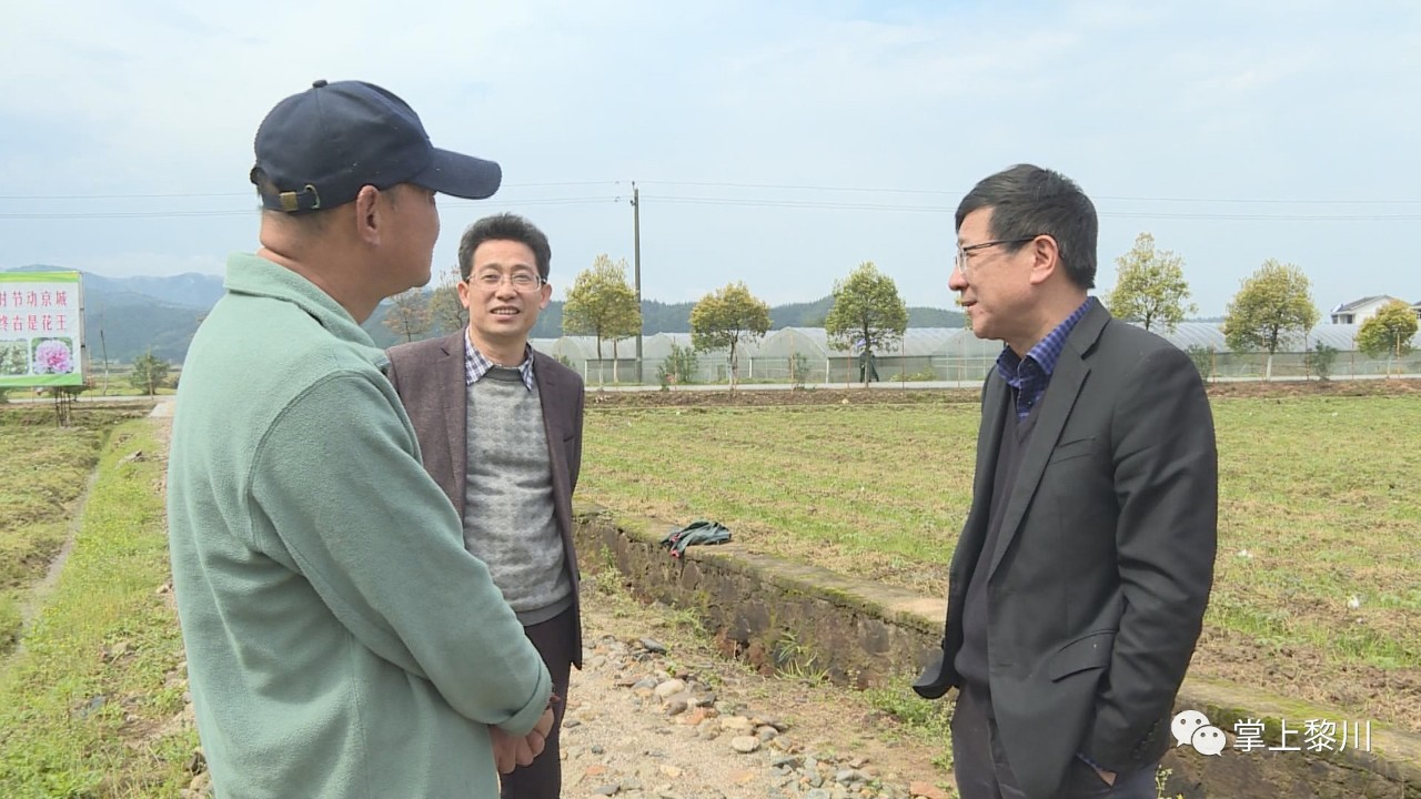 县委副书记周亮平深入德胜镇新店村调研中药材产业发展情况