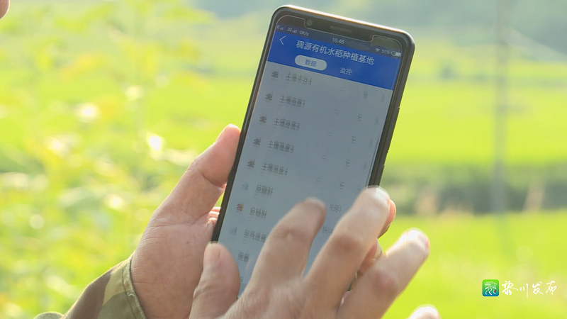 黎川县人民政府 黎川要闻 我县着力推进智慧农业建设