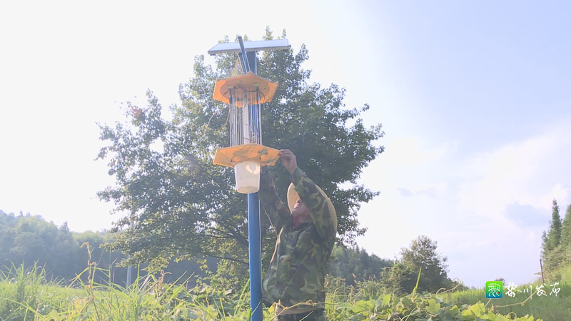 黎川县人民政府 黎川要闻 我县着力推进智慧农业建设