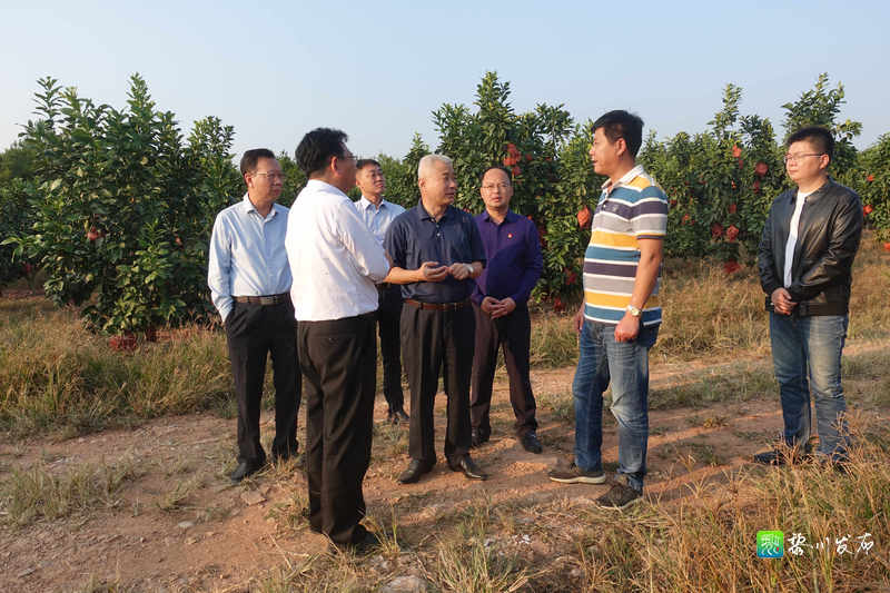 黎川县人民政府 黎川要闻 市人大常委会主任魏建锋深入我县调研指导