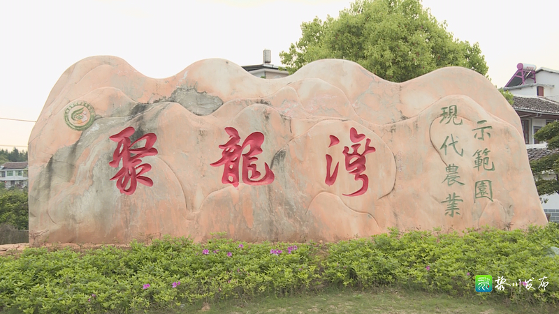 走访期间,聂仕雄还察看了聚龙湾景区建设情况.