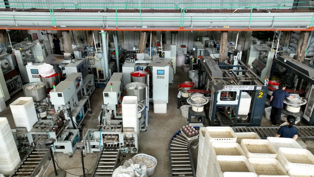 黎川：小菌菇撑起“共富伞”