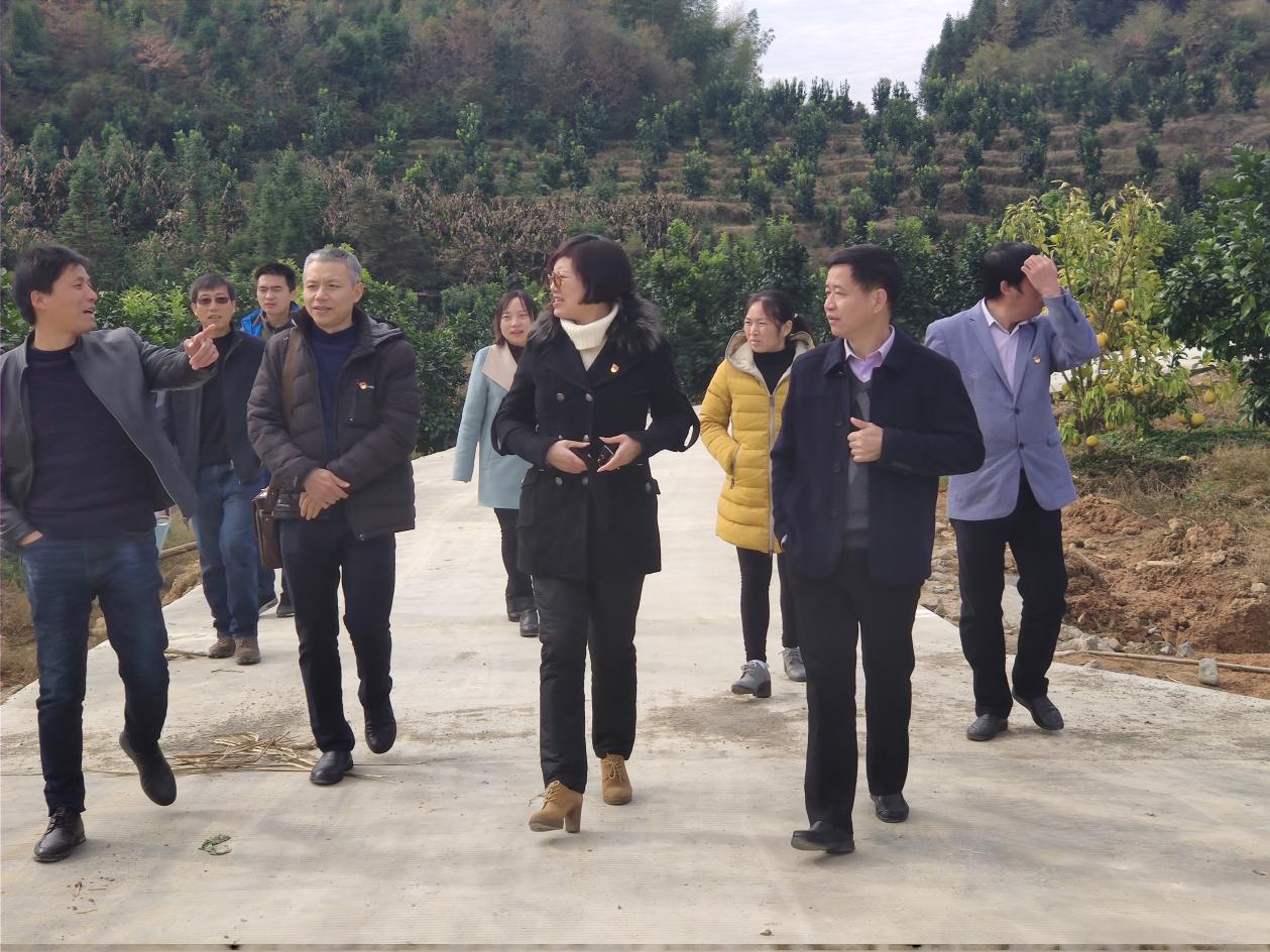 省农产品质量安全检测中心主任杨琳芬到黎川县调研工作