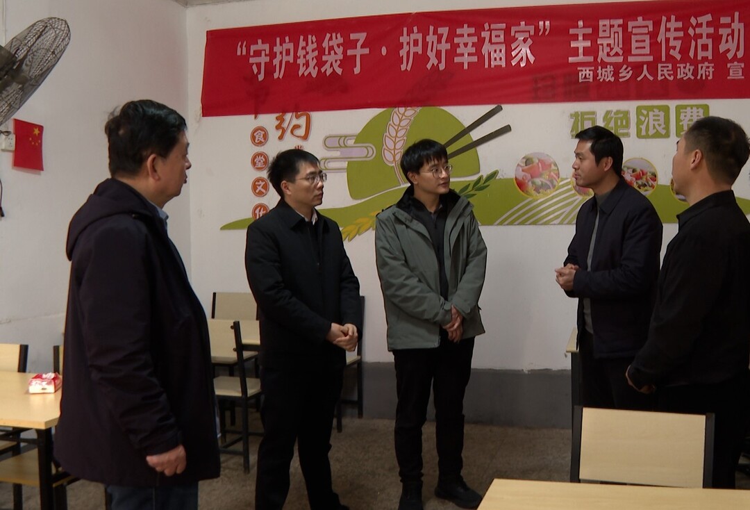 全国县域养老服务体系创新试点项目专家组到我县开展专题调研