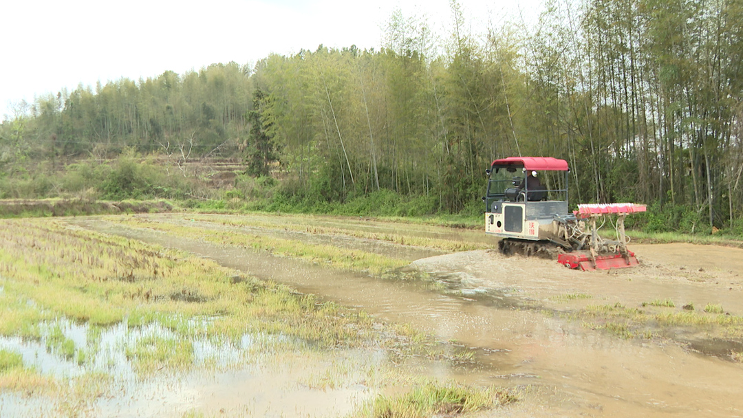 黎川：农机翻田忙 抢抓农时备春耕
