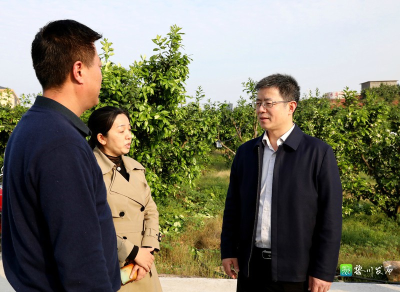 县人大常委会二级巡视员聂平太,副县长罗燕随同调研.