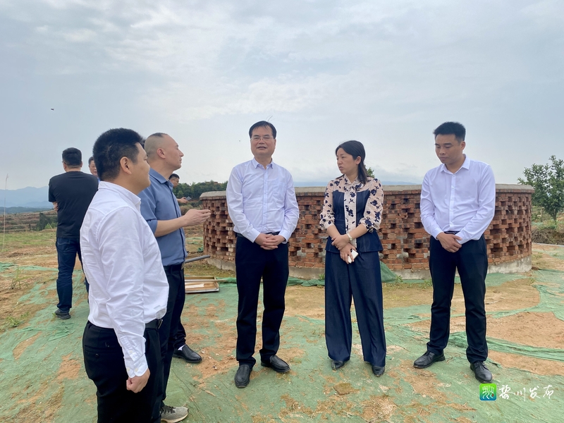 黎川县人民政府 黎川要闻 市人大常委会副主任,市级林长何明深入我县