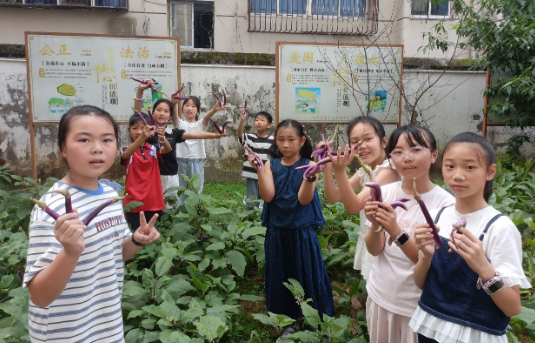 wechat_2026-07-04_171758_422.png