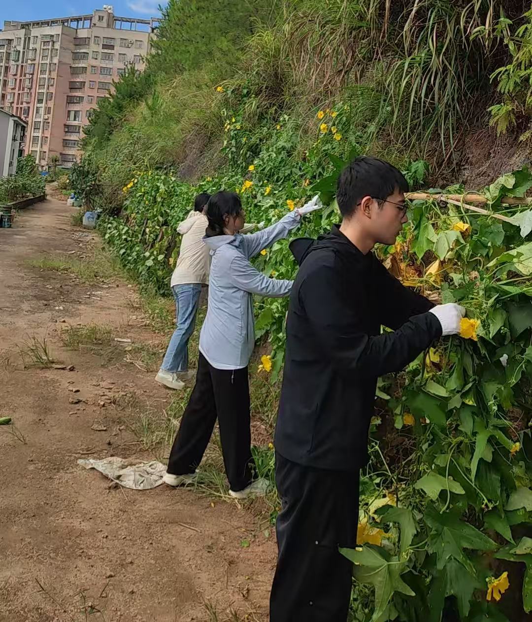 微信图片_20260721150546_25_2.jpg
