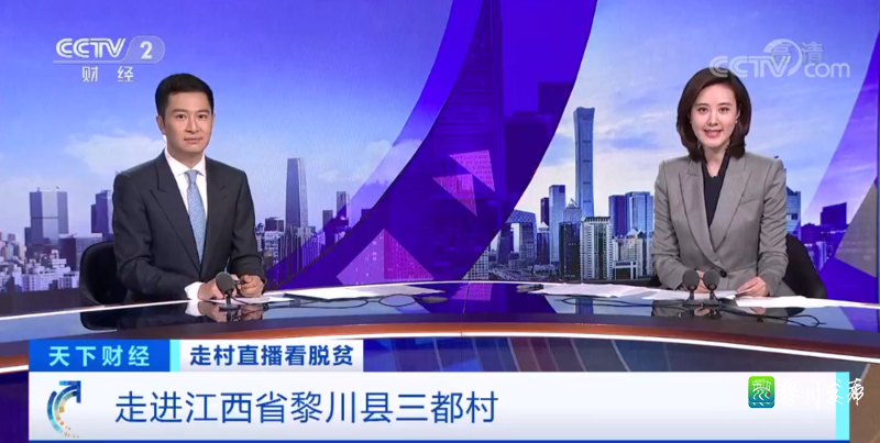 多彩油画扮靓黎川三都村霸屏央视二套