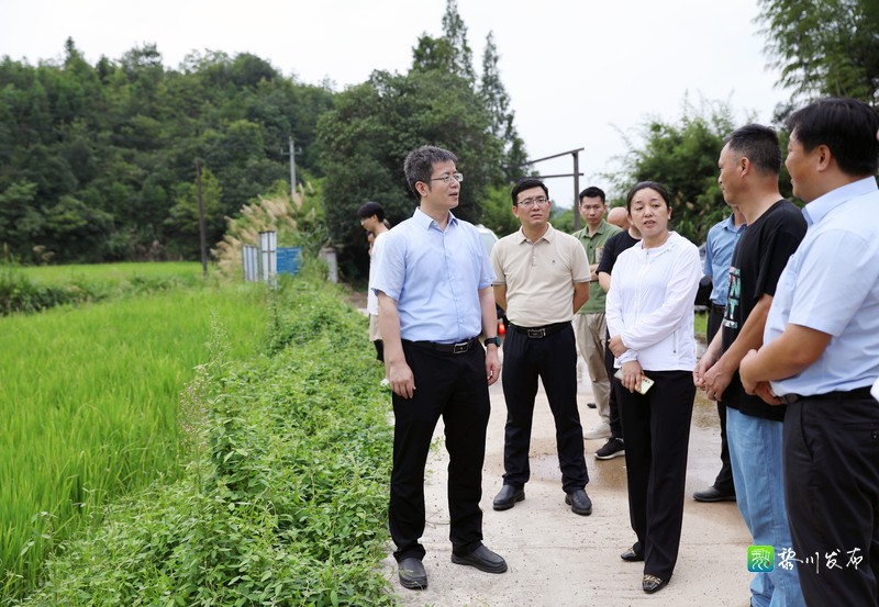 黎川县人民政府 黎川要闻 县委书记郑锦锋调研粮食收购工作开展情况